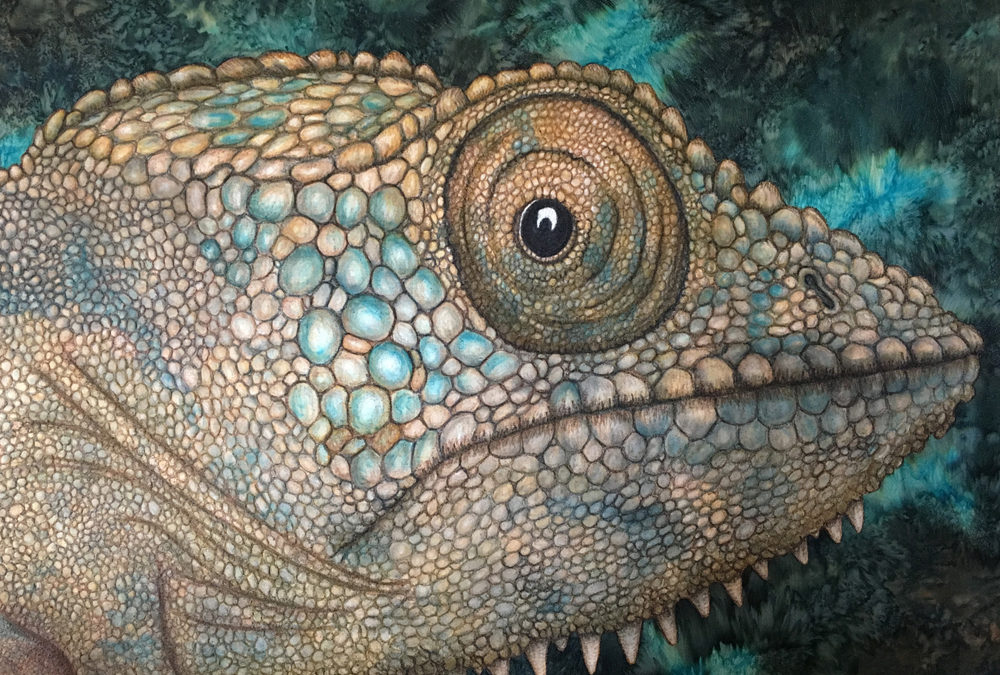 CHAMELEON – THE EYES HAVE IT – 30″ X 40″