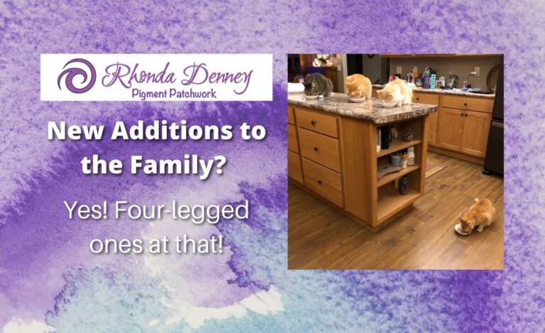 Read more about the article New Additions to the Family? Yes! Four-legged ones at that!