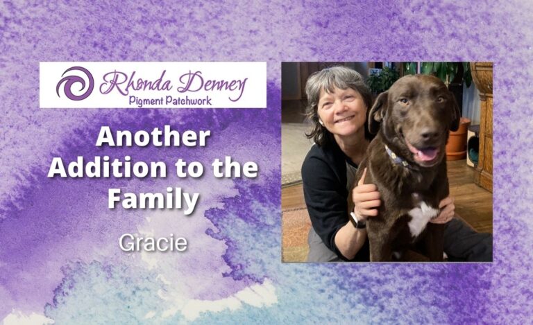 Read more about the article Another Addition to the Family? Yes! A 3-legged tail-wagging one!