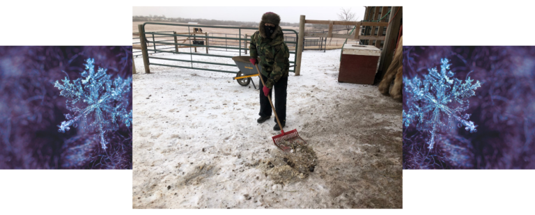 Read more about the article Creating a Content Strategy