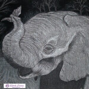 FQ Thumbnail – Ashaka – Elephant