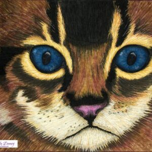 Kitten – The Eyes Have It Series 24” x 30” Fiber Art. 2017