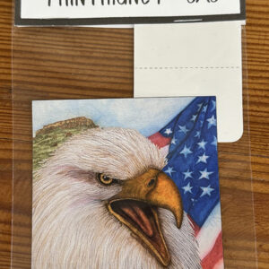 Eagle USA Flag – Magnets