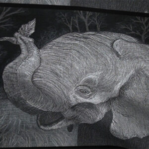 FQ Thumbnail – Ashaka – Elephant