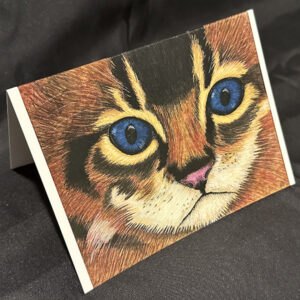 Kitten TEHI – Notecards
