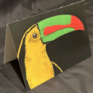 Toucan – Notecards