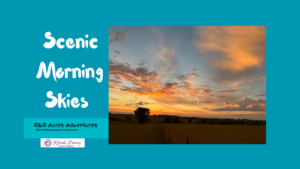 Read more about the article Scenic Morning Skies