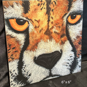Cheetah – 6×6 Porcelain Tile