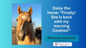 Read more about the article Daisy the horse is happy again!