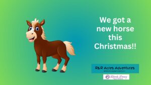 Read more about the article We got a new Horse this Christmas!