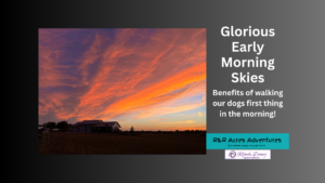 Read more about the article Glorious Early Morning Skies