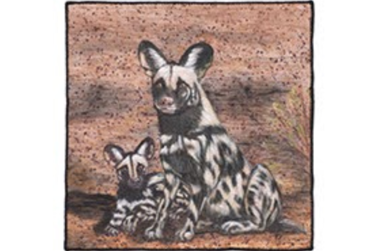 Read more about the article More about CIPA & their Book Awards