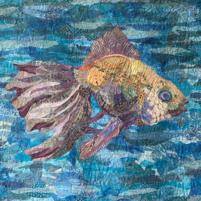 Animals-GoldenViolaceousBeauty-Fish-20x30-RhondaDenney-72dpi-1000-1